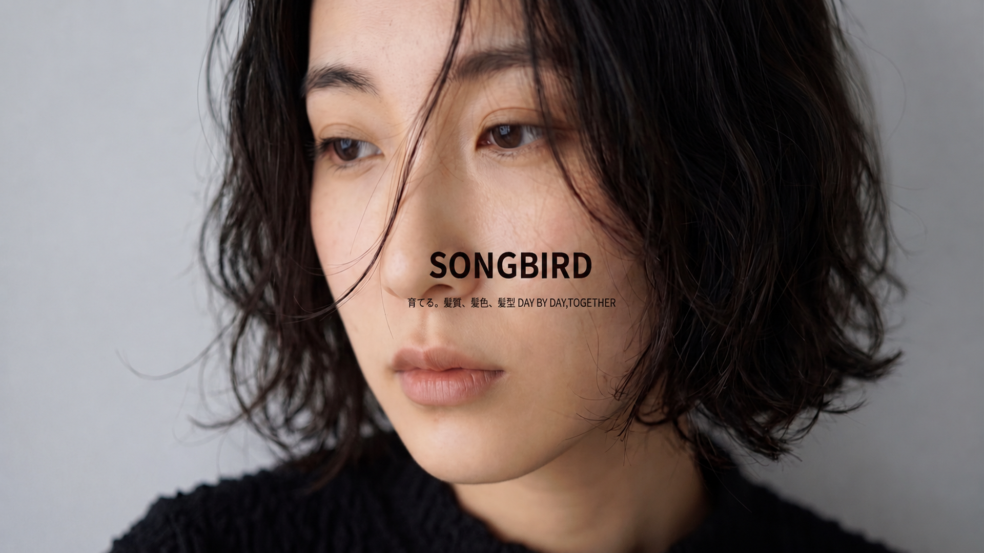 SONGBIRDについて